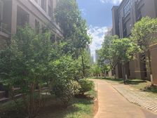 呈贡春融街实力心城58平房东诚心出售