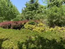 普罗旺斯三期经典下跃 南北通透 向阳坡 采光好 *