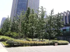 带燃气,看苏州之眼,全屋地暖,三面景观,光线充足