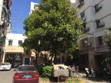 文治路30弄 2室1厅 南 北