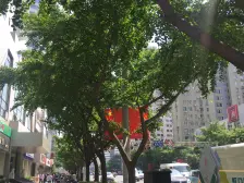 电梯房,大开间,品质小区,精装修