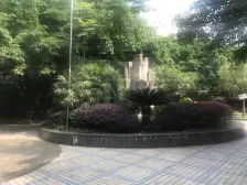 杨家坪 杨渡村二房68万