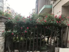 此房满五唯一,*地热,南北通透,楼层适中