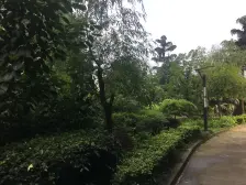 国窖明城 2室1厅 东