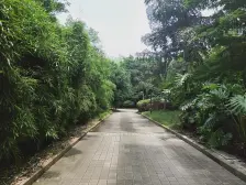 龙头寺 龙泉锦苑四房180万