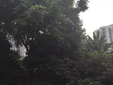精装修的三房可伶包入住,出行方便,双轻轨,