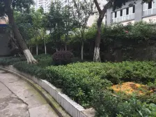 大石坝 大庆村综合小区一房50万