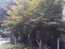 大庆村 电梯房 简装一房带私人露台 随时看房