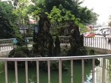 陈家坪 南方花园D3区一房41万
