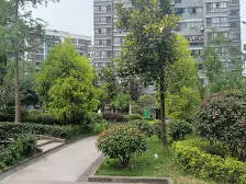 住家精装修 大两房 配套完善 茶园 长河湾