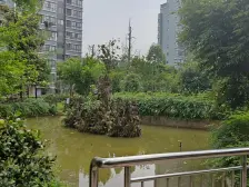 茶园新区 长河湾二房61万