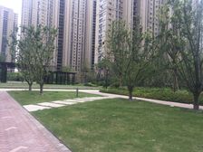 中海碧林湾三室 毛坯 户型方正 中高楼层全天采光 车位