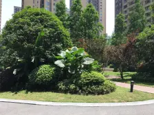 大学城 新鸥鹏泊雅湾二房70万