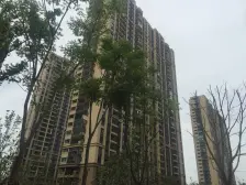 中海碧林湾 3室2厅 南