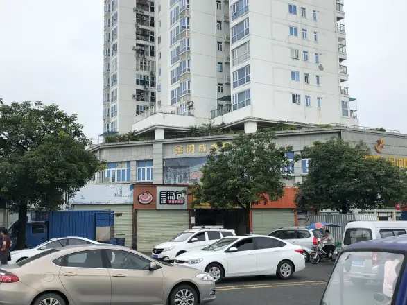 金阳成