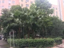 荣升部落格 1室2厅 南