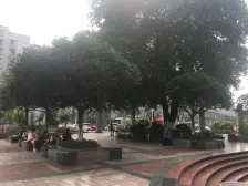 加州新牌坊 锦园佳居三房63万