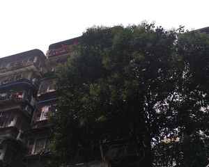 新13号院 3室1厅 南