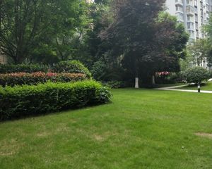 保利城一期 3室1厅 东