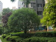 保利城一期 3室2厅 南