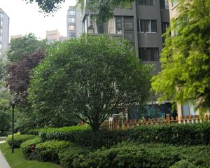 保利城一期 3室2厅 南