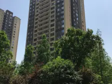 鸥鹏泊雅湾南区 1室1厅 东