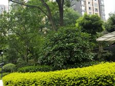 保利城一期 3室2厅 西