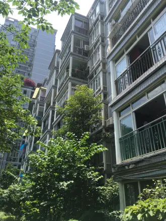 康德康居皓月