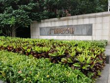 深圳业主诚心阳光里全新毛坯三房