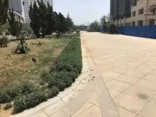 好楼层,视野好,地铁,商圈,单价低