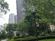 保利城一期 2室1厅 南