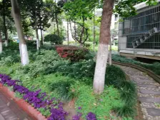 精装修 拎包入住 房型好 采光好