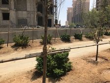 月伴湾 小高层 南北通透 业主诚心卖 价格可谈