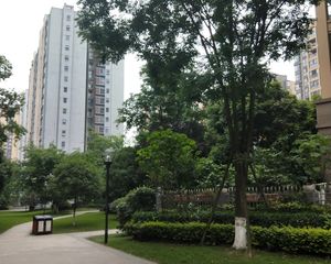 保利城二期 2室1厅 南