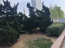 房主诚心,南向一室,楼层好,采光充足