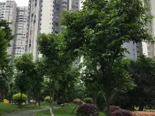 业主家装,拎包入住,交通便利。