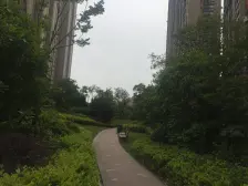 中海首排中间楼层精装修房东诚心出售