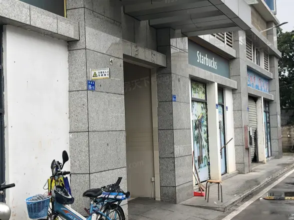 金阳成