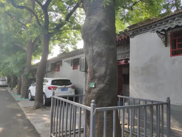 石雀胡同