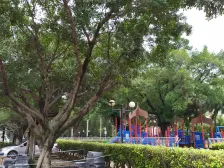 碧桂园7年楼龄别墅区,安静,路况好,毛坯装修称心.