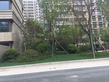 北启秀旁远创精装三房+170平地下室+40平院子+随时看房