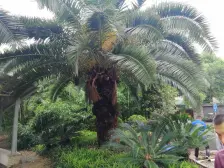 电梯顶楼+阁楼,小高层,物业负责任,欢迎咨询