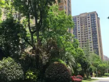 大学城 新鸥鹏泊雅湾二房73万