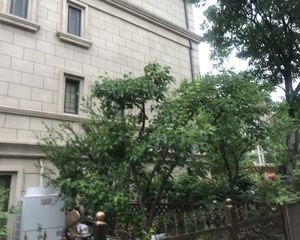万达广场电梯洋房147平套四自住精装修诚心出售