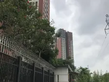 南城万科物业 方正两房 高人气小区 生活配套方便