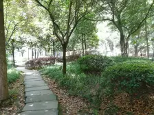 海德双凤康桥 2室2厅 东南