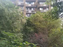 单价5000多 出让地 清水大三房