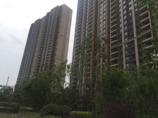 中海 毛坯 户型方正 采光视野好