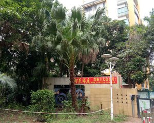 户型方正,明亮宽敞,环境舒适邻近学.校满5唯一