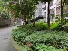 满五唯一免个税 中间楼层 无浪费面积